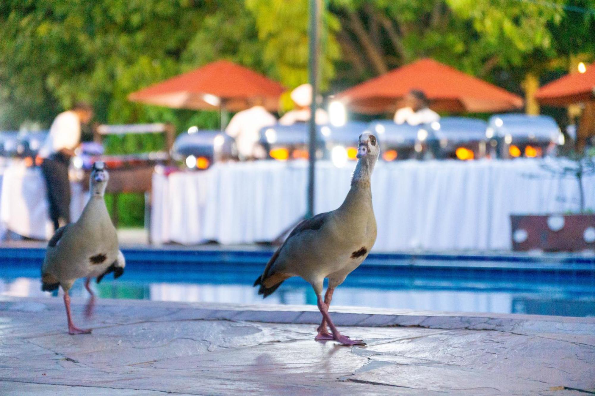 Lukenya Getaway Hotel Athi River Exterior photo