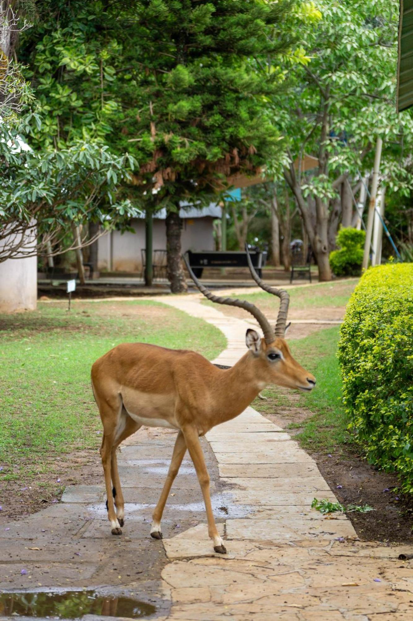 Lukenya Getaway Hotel Athi River Exterior photo